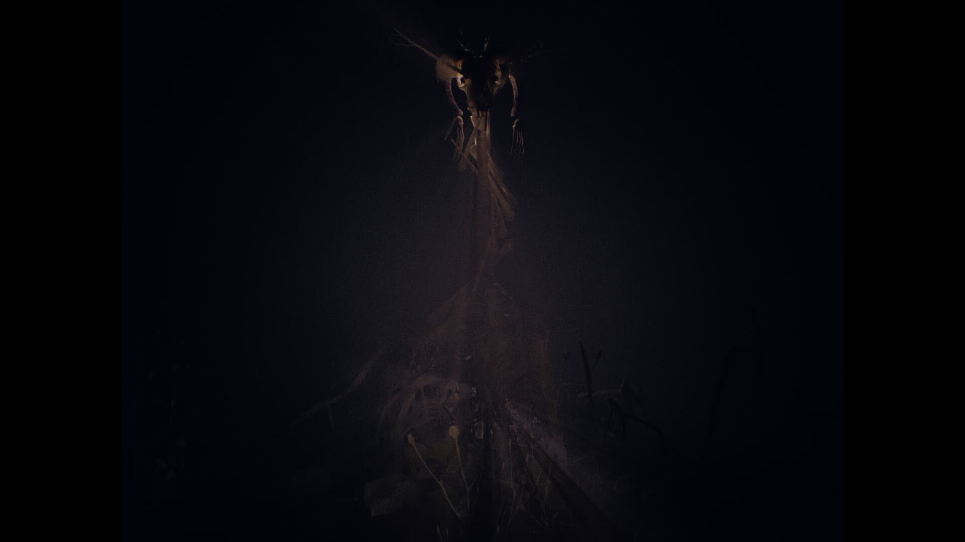 Cult of Dawn