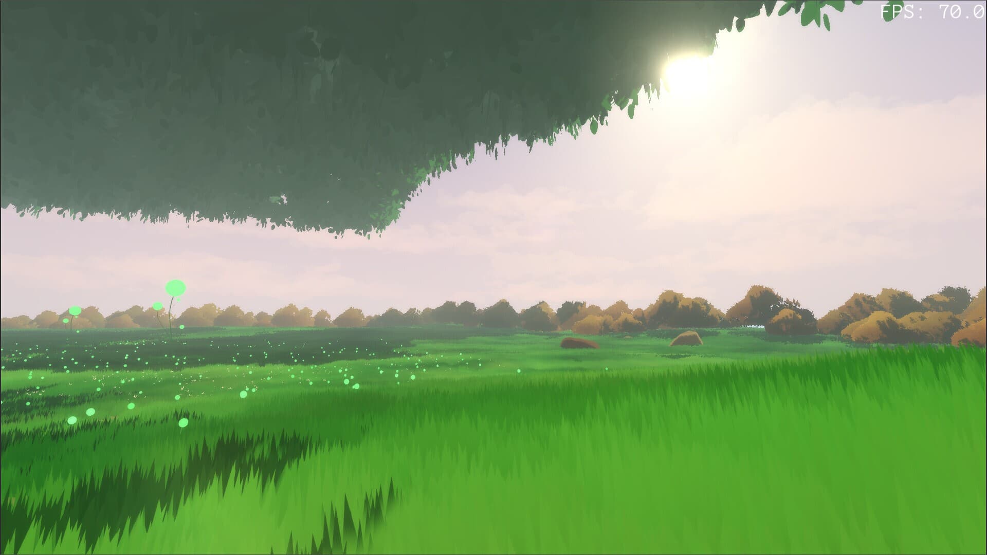Island of Giant Trees