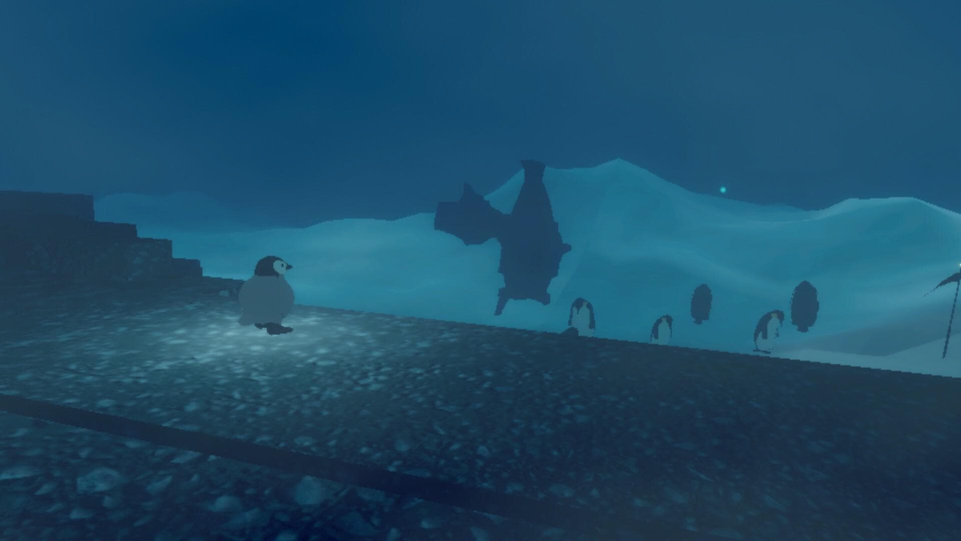Penguin Colony