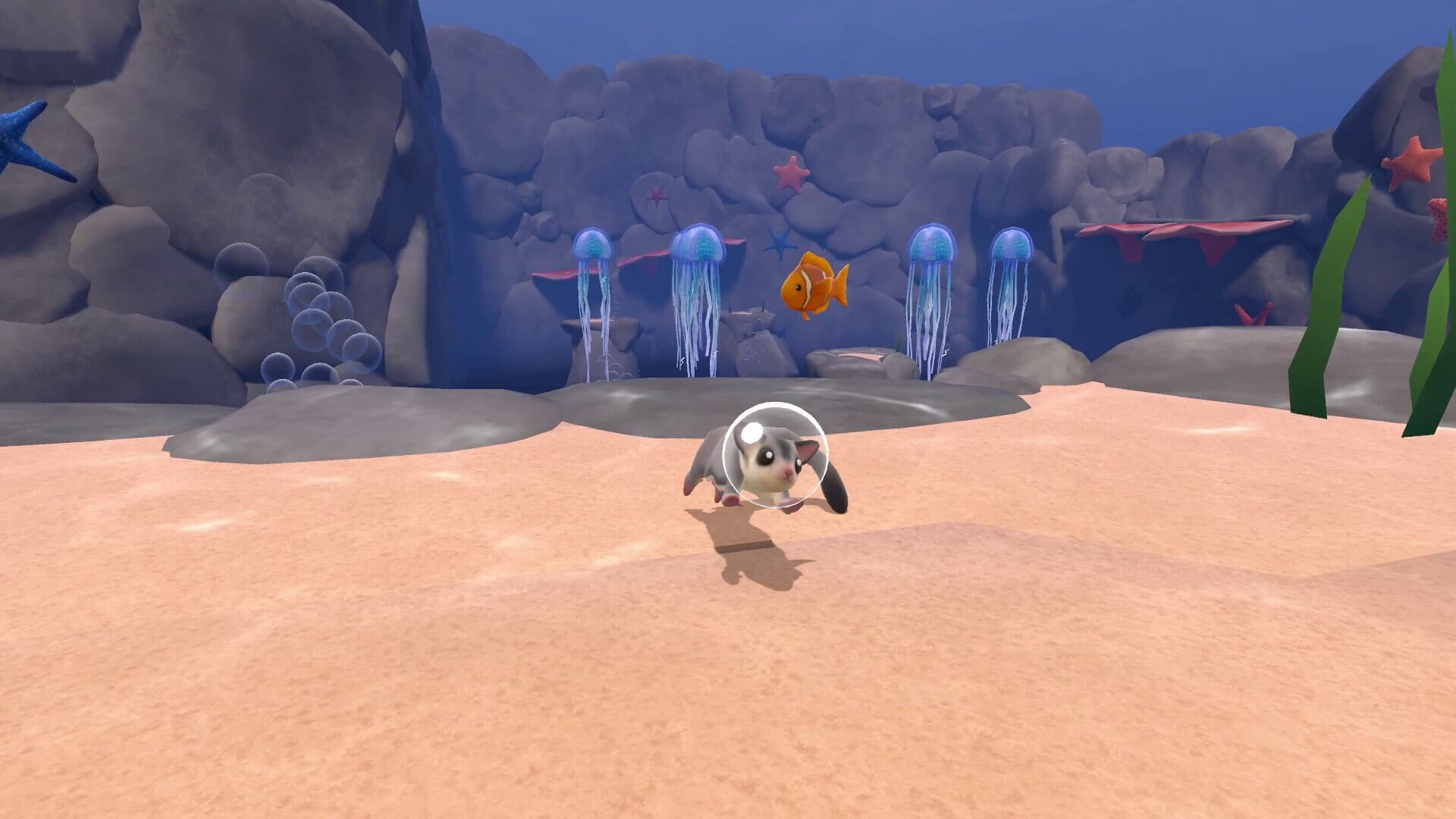 Reefglider