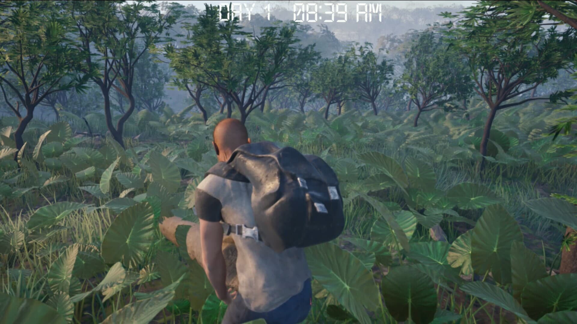 The Doldrums screenshot 1