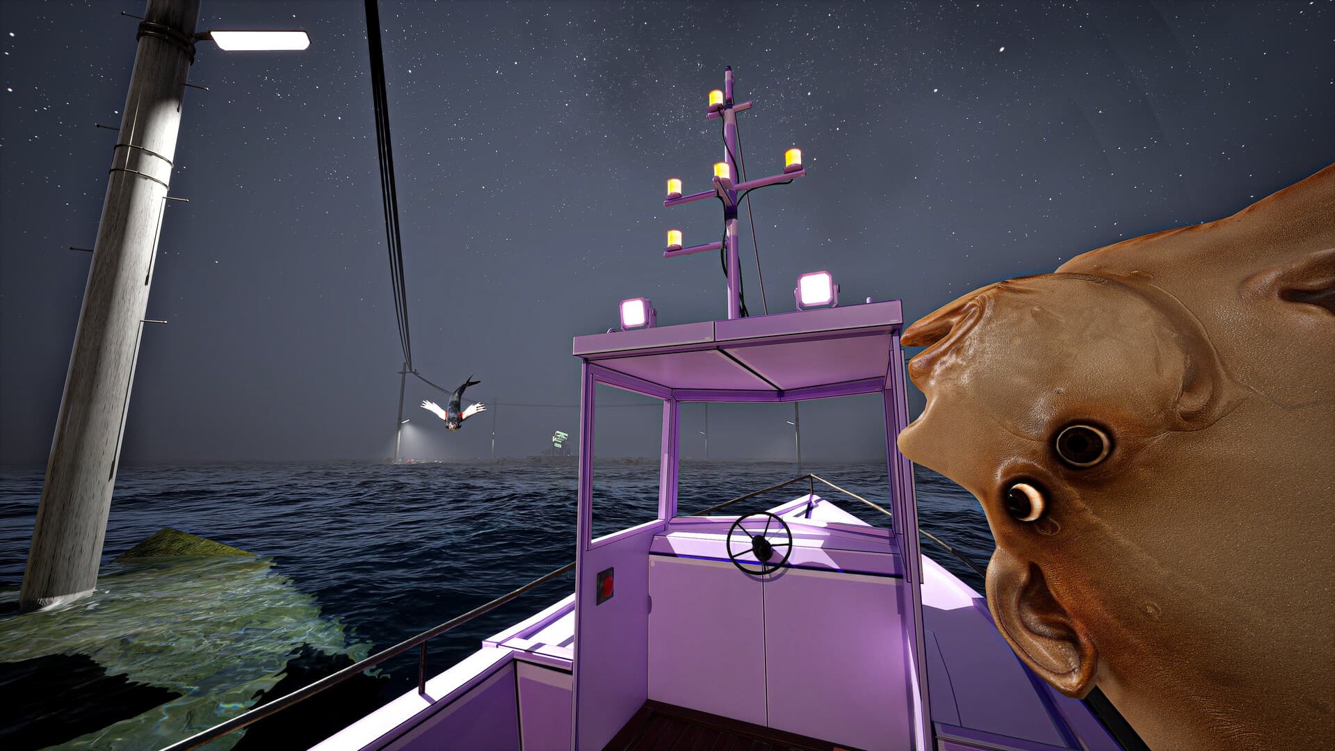 UMIGARI | ウミガリ