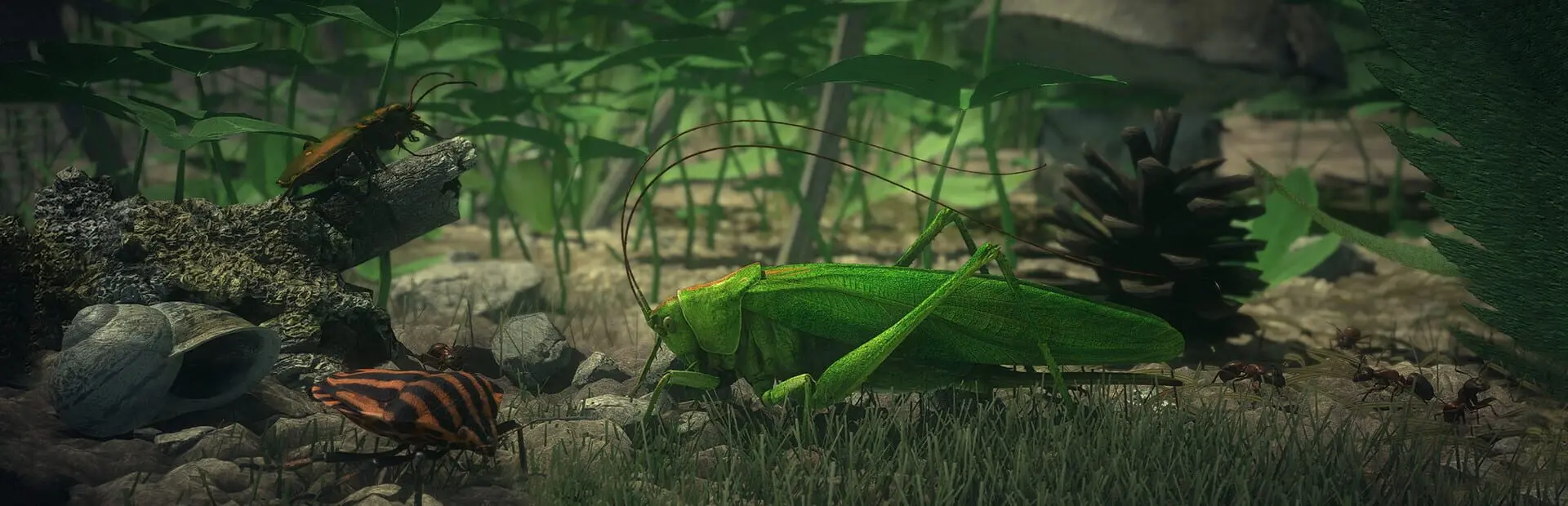 Insect Worlds