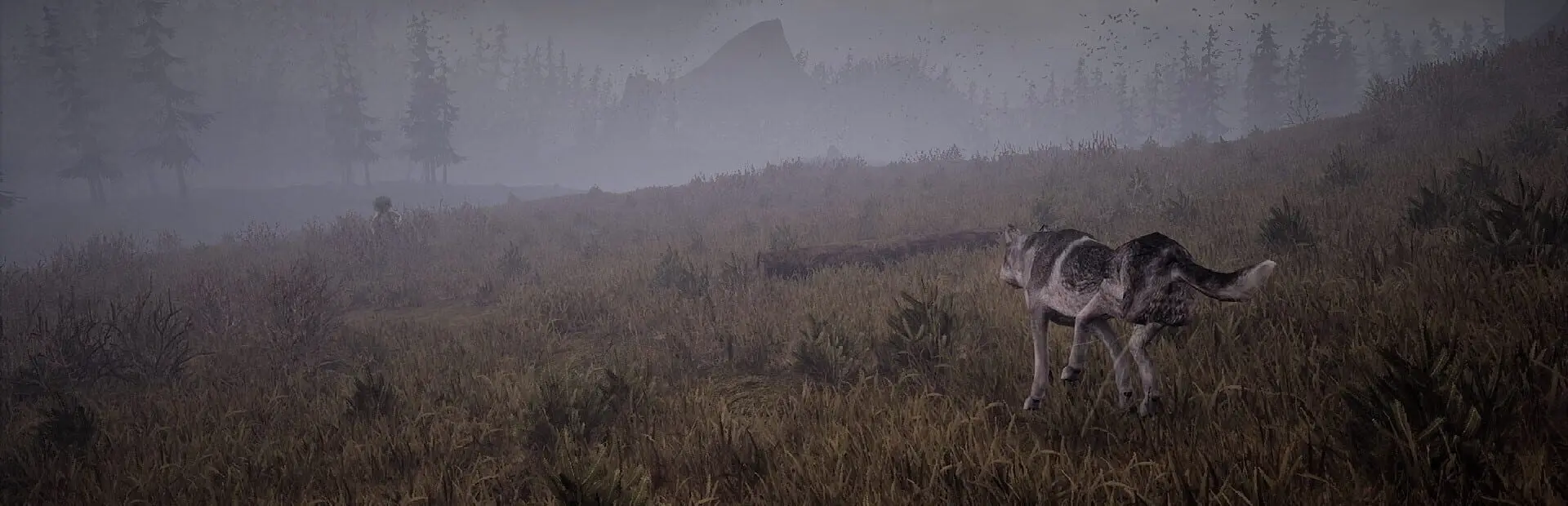 Wandering Wolf