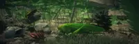 Insect Worlds