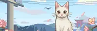 Rural Cat Trails