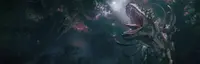 Wilderdark