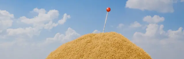 Find The Needle