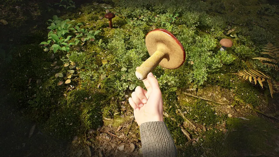 Mushroom Hunter Simulator screenshot 1